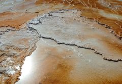 Travertine, mammoth hot springs, yellowstone national park — Affiliate Toolkit: Optimizing Your Jeetwin Campaigns for Profit