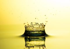Drops, water, waterdrop — Download Regarding Android And Ios Get Up To 150000 Inr + 150 Fs