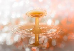 Drops, water, waterdrop — Why TC Lottery Games Are Gaining Popularity Among Online Players